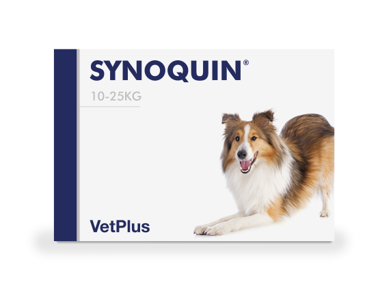 SYNOQUIN MEDIUM BREED 1x30 tabs